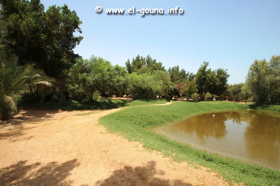 El Gouna Fishfarm 3676